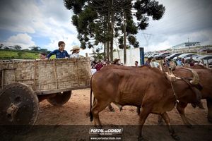 15&deg; Encontro de Carreiros