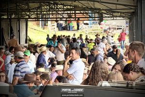 15&deg; Encontro de Carreiros