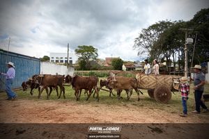 15&deg; Encontro de Carreiros