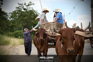 15&deg; Encontro de Carreiros