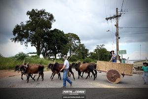 15&deg; Encontro de Carreiros