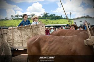 15&deg; Encontro de Carreiros