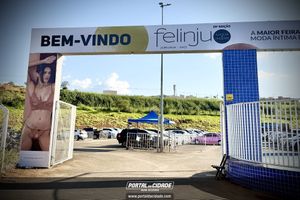     Os melhores momentos do desfile de encerramento da Felinju 2026