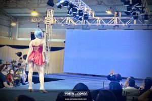     Os melhores momentos do desfile de encerramento da Felinju 2026