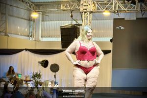     Os melhores momentos do desfile de encerramento da Felinju 2026
