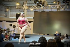     Os melhores momentos do desfile de encerramento da Felinju 2026