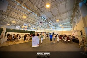    Os melhores momentos do desfile de encerramento da Felinju 2026