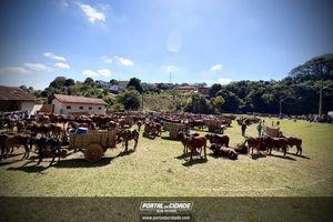 18&deg; Encontro de Carros de Boi