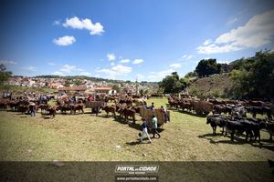 18&deg; Encontro de Carros de Boi