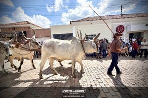 18&deg; Encontro de Carros de Boi