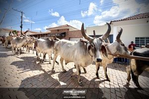 18&deg; Encontro de Carros de Boi