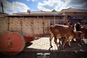 18&deg; Encontro de Carros de Boi