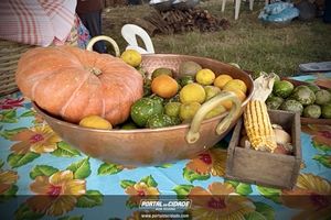 Queima do Alho em Divin&oacute;polis