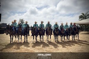 Queima do Alho em Monte Belo