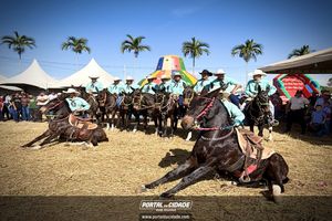Queima do Alho em Monte Belo