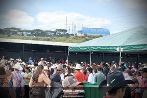     Queima do Alho em Nova Resende: veja os melhores momentos