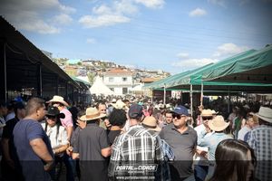     Queima do Alho em Nova Resende: veja os melhores momentos