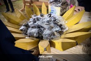 8&ordf; Feira da Banana e do Agro