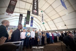 Cerim&ocirc;nia de abertura da Megaleite 2026