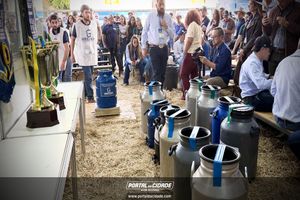 Cerim&ocirc;nia de abertura da Megaleite 2026