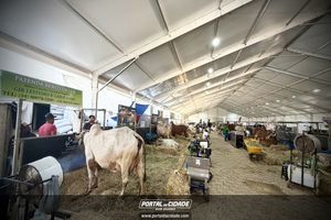 Cerim&ocirc;nia de abertura da Megaleite 2026