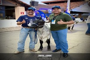 Cerim&ocirc;nia de abertura da Megaleite 2026