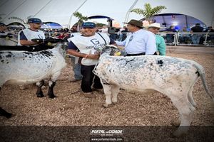 Cerim&ocirc;nia de abertura da Megaleite 2026