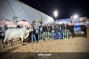 Cerim&ocirc;nia de abertura da Megaleite 2026