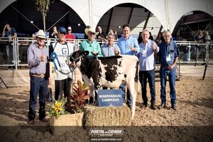 Cerim&ocirc;nia de abertura da Megaleite 2026