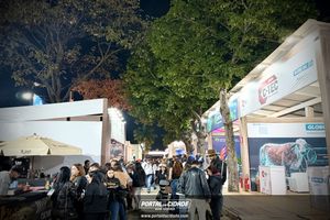 Cerim&ocirc;nia de abertura da Megaleite 2026