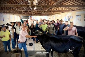 Cerim&ocirc;nia de abertura da Megaleite 2026