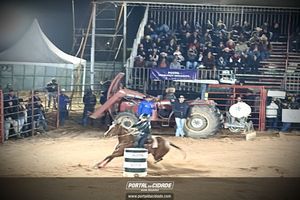 Palmeiral Rodeio Show 2026