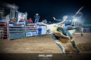 Palmeiral Rodeio Show 2026