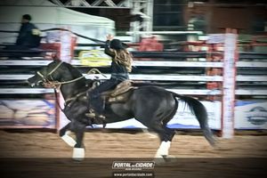 Palmeiral Rodeio Show 2026