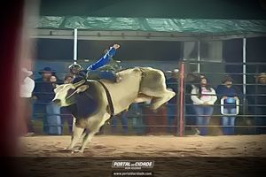 Palmeiral Rodeio Show 2026