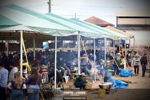 Queima do Alho em Itamogi