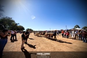 Festa de S&atilde;o Jo&atilde;o Batista - Puxada da Lenha
