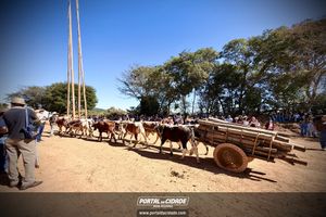 Festa de S&atilde;o Jo&atilde;o Batista - Puxada da Lenha
