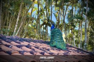 #PortalDeF&eacute;rias &mdash; Culin&aacute;ria, m&uacute;sica e descanso em S&atilde;o Jo&atilde;o Batista do Gl&oacute;ria