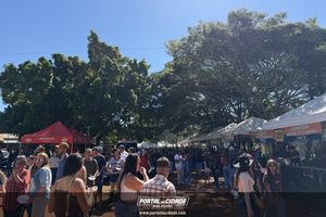 Queima do Alho em C&aacute;ssia