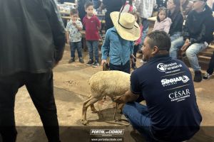 Festa de Piracema 