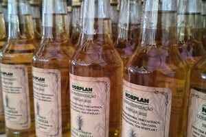 Confraterniza&ccedil;&atilde;o de final de Ano da NORPLAN