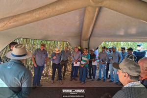 Encontro t&eacute;cnico da NORPLAN