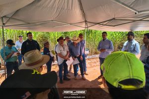 Encontro t&eacute;cnico da NORPLAN