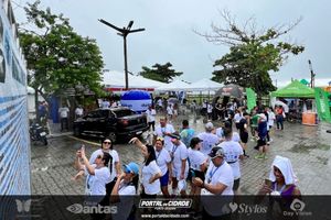 Borboletas Running