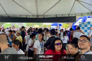 Borboletas Running