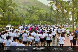 Borboletas Running