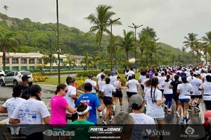 Borboletas Running