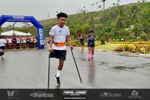 Borboletas Running