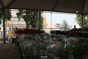 XIII Festival de Flores de Holambra